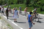 Ingrandisci immagine