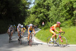 Ingrandisci immagine