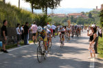 Ingrandisci immagine