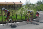Ingrandisci immagine