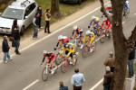 Ingrandisci immagine