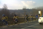 Ingrandisci immagine