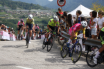 Ingrandisci immagine