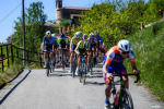Ingrandisci immagine