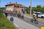 Ingrandisci immagine